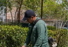 SE BUSCA JARDINERO PARA CORTE DE CÉSPED Y MANTENIMIENTO DE ESPACIOS VERDES EN DIFERENTES ÁREAS