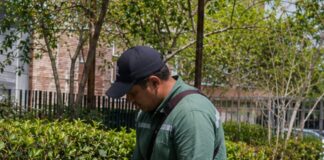 SE BUSCA JARDINERO PARA CORTE DE CÉSPED Y MANTENIMIENTO DE ESPACIOS VERDES EN DIFERENTES ÁREAS