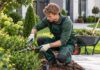 SE SOLICITA JARDINERO PARA MANTENIMIENTO DE ESPACIOS EXTERIORES EN PROPIEDADES RESIDENCIALES Y COMERCIALES