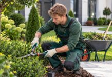 SE SOLICITA JARDINERO PARA MANTENIMIENTO DE ESPACIOS EXTERIORES EN PROPIEDADES RESIDENCIALES Y COMERCIALES