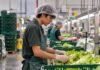 SE NECESITA OPERARIO DE PRODUCCIÓN PARA CLASIFICACIÓN Y PREPARACIÓN DE ALIMENTOS FRESCOS
