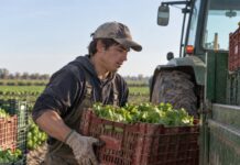 SE NECESITA TRABAJADOR AGRÍCOLA PARA LABORES DE COSECHA Y MANTENIMIENTO DE MAQUINARIA (TIEMPO COMPLETO)