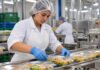 SE SOLICITAN AYUDANTES DE ENVASADO PARA LÍNEA DE PRODUCCIÓN ALIMENTARIA (TURNOS ROTATIVOS)