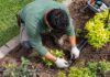SE BUSCA JARDINERO/A PARA INSTALACIÓN Y MANTENIMIENTO DE SISTEMAS DE RIEGO