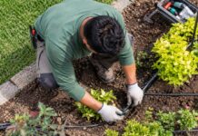 SE BUSCA JARDINERO/A PARA INSTALACIÓN Y MANTENIMIENTO DE SISTEMAS DE RIEGO