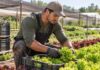 SE NECESITA TRABAJADOR AGRÍCOLA PARA PREPARACIÓN DE SEMILLEROS Y RECOLECCIÓN DE PRODUCTOS EN FINCA