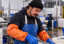 SE SOLICITA TRABAJADOR DE ALMACÉN PARA MANIPULACIÓN, PREPARACIÓN Y PROCESAMIENTO DE PESCADO