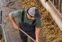 SE REQUIERE TRABAJADOR DE GRANJA PARA CUIDADO DE GANADO Y MANTENIMIENTO DE ESTABLOS (TURNO DIURNO)
