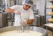 SE NECESITA TRABAJADOR DE PRODUCCIÓN PARA LA ELABORACIÓN ARTESANAL DE QUESOS Y PRODUCTOS LÁCTEOS